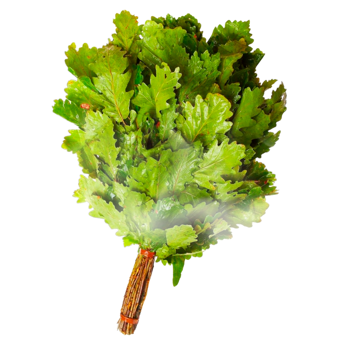 veniki